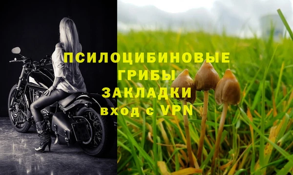 ПСИЛОЦИБИНОВЫЕ ГРИБЫ Красноперекопск