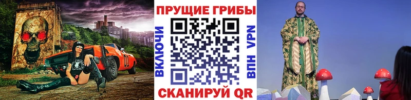 Псилоцибиновые грибы Psilocybine cubensis  Купить закладки  Ковылкино 